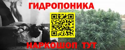 ECSTASY Нальчик