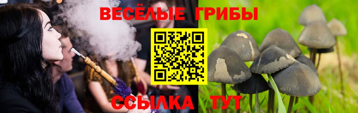 Псилоцибиновые грибы прущие грибы  Галлюциногенные грибы GOLDEN TEACHER  где купить   Вход с VPN  Сорочинск 